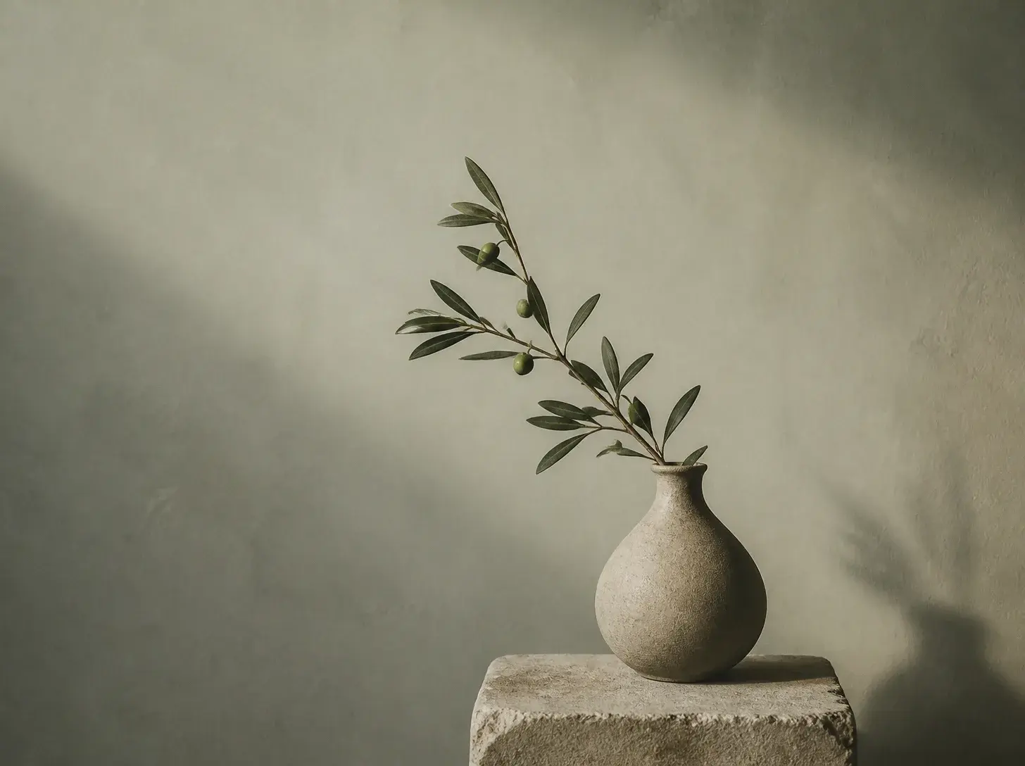 A single olive branch in a stoneware bud vase on a stone plinth against a pale sage plaster wall.